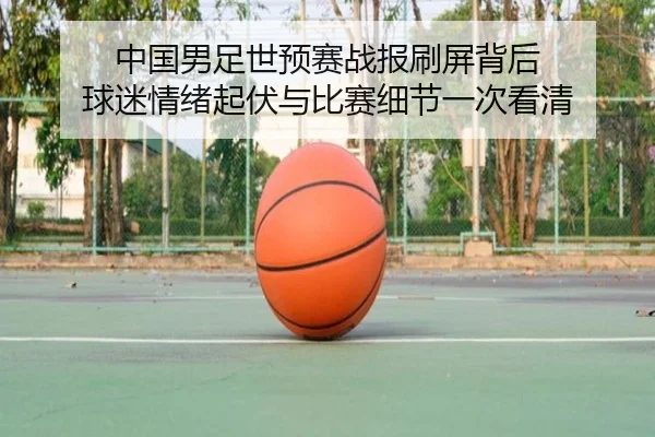 img_1781124008458_11_1_288.jpg